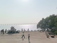 -宝安西湾红树林湿地公园