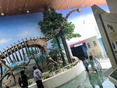 -延庆地质公园博物馆