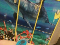 凭门票可以免费寄存的哟-成都浩海立方海洋公园