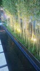 点击看大图 -爱儿美儿童摄影(朝阳公园店)