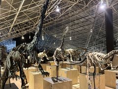 -世界恐龙谷景区