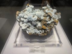 -湖南省地质博物馆