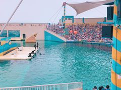 -秦皇岛乐岛海洋王国