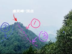-南山植物园