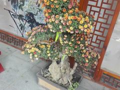 -中国翰园碑林