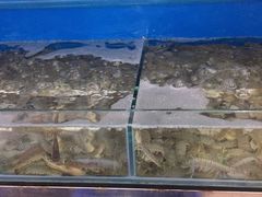 -芽庄老成都川菜馆