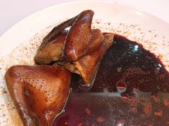 -侨美唐荔园·宴会厅(唐荔园食艺馆店)