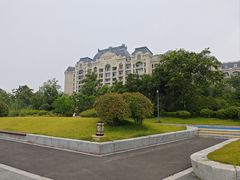-星光岛