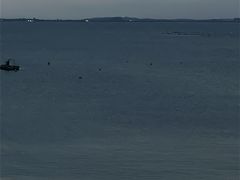 -湄洲岛
