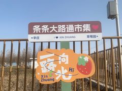 -辛庄国际文化艺术区