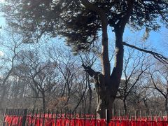 -北陵公园