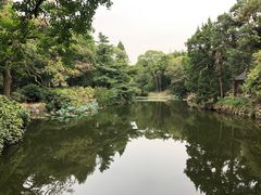 -叶家花园