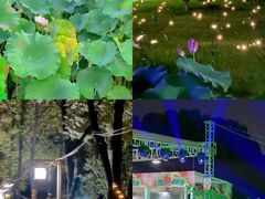 -洛阳市隋唐城遗址植物园