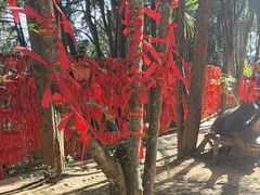 -墨江北回归线标志园