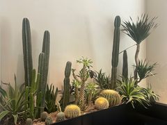 -J Create城市露营咖啡·简餐·宠物(上海动物园店)