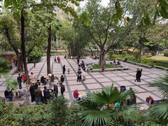 -晓港公园