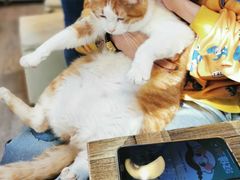 -小时光咖啡馆(北锣鼓巷店)