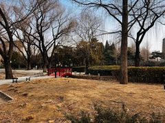 -玲珑塔公园