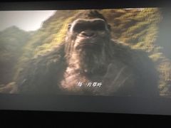 -CGV影城(金银潭激光IMAX店)