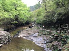 -黎坪国家森林公园
