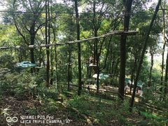 -天鹿湖森林公园