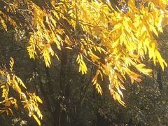 -杭州半山国家森林公园