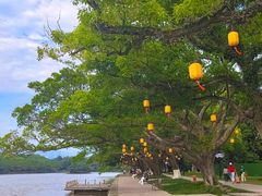 -江心屿景区