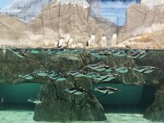 -成都浩海立方海洋公园