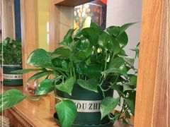 -越美小馆·越南料理(曲江店)