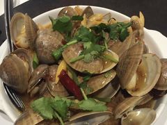 -食为先(Shark Fin)