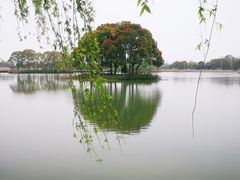 -梁鸿国家湿地公园