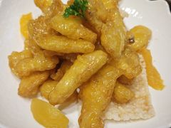 -俭寨大盘鸡·新疆菜·烧烤(博乐店)