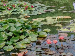 -国家植物园南园