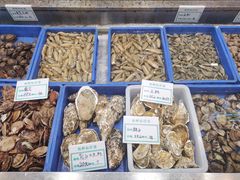 -渡海小渔村.老辈日照菜