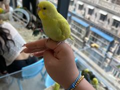 -怪兽屋·羊驼·猫咖·狗咖(俊华广场店)