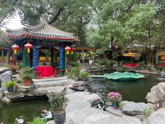 -白家大院·王府宫廷菜(苏州街店)