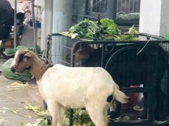 -昆明东站水果交易市场