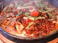 老板恋上鱼-老板恋上鱼(印象城店)