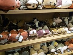 -九木杂物社(恒隆广场店)