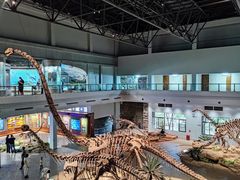 -自贡恐龙博物馆