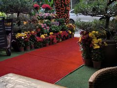 -山水茶艺馆·点心粤菜·30年老字号