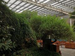 -龙达温泉生态城