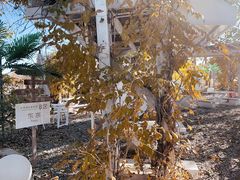 -安德鲁户外烧烤帐篷营地(马泉营店)