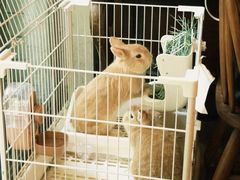 -懒鱼时光馆(沙坪坝店)