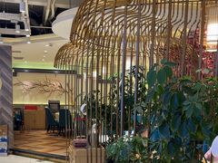 -小桃红·东北菜·春饼烤鸭(南阳湖街店)