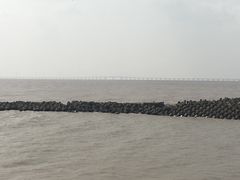 -南汇嘴观海公园