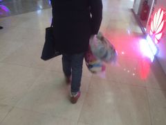 -PAWTOY爪e玩偶店(天兴罗斯福店)