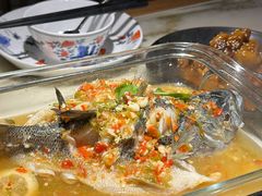 -肥猫(义乌万达店)