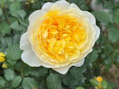 -人民公园(罗湖区)