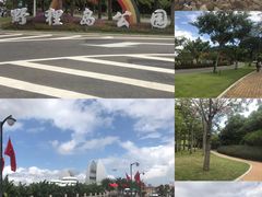 -野狸岛